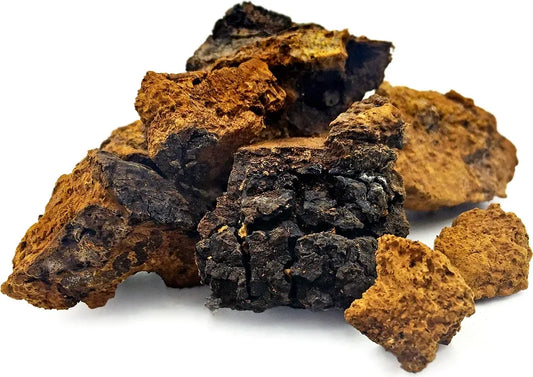Chaga Mushroom
