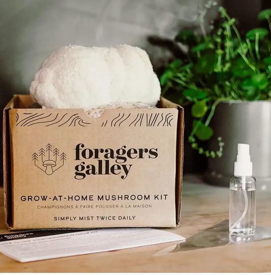 Lion's Mane Mushroom Grow-At-Home Kit