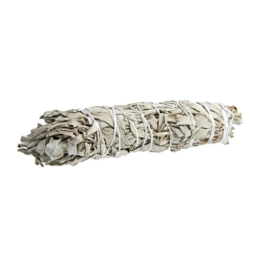 California White Sage 8-9" L