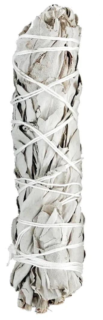 California White Sage 3-4"L