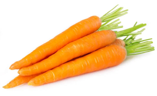 Carrot Seed Essential Oil