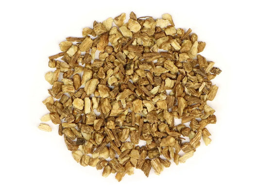 Dong Quai Root