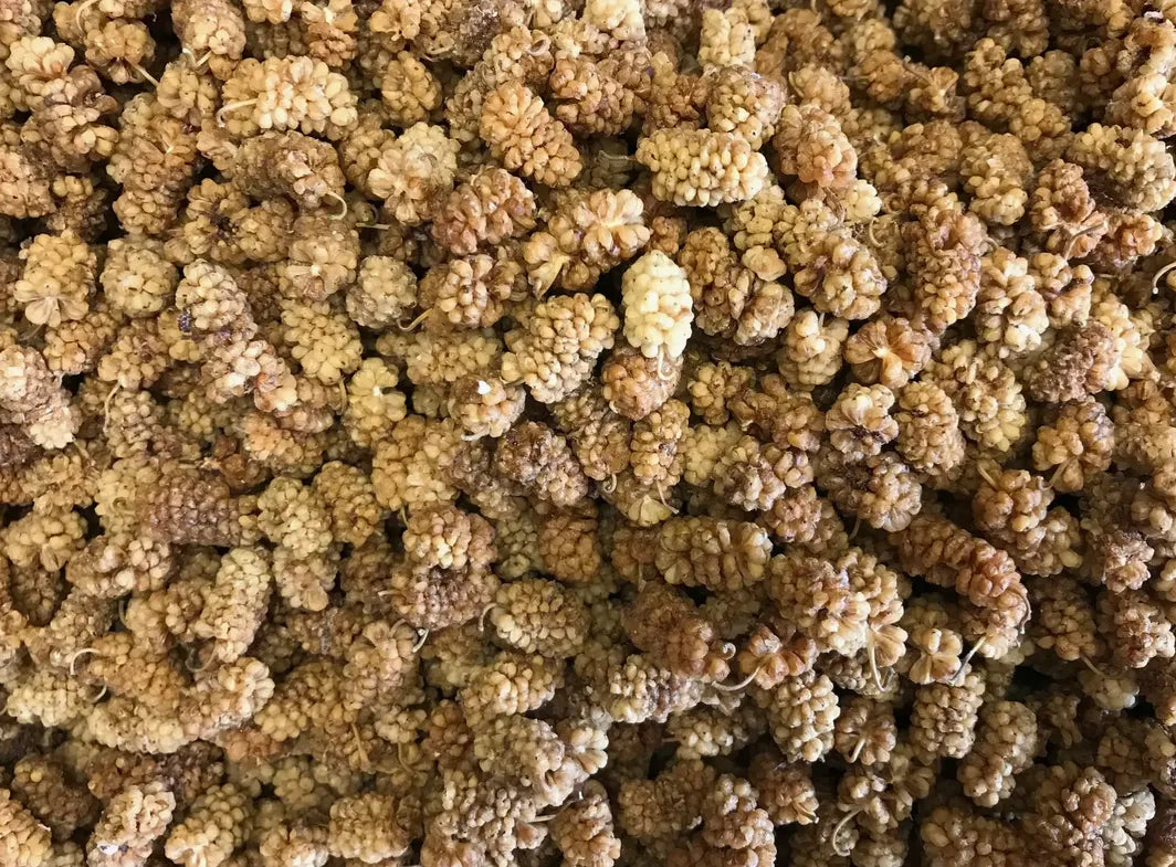 Dried White Mulberry - Wholesale