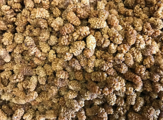 Dried White Mulberry