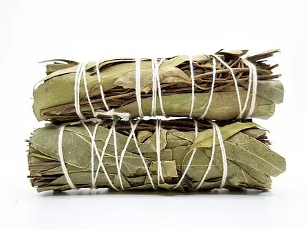 Eucalyptus Smudge Stick