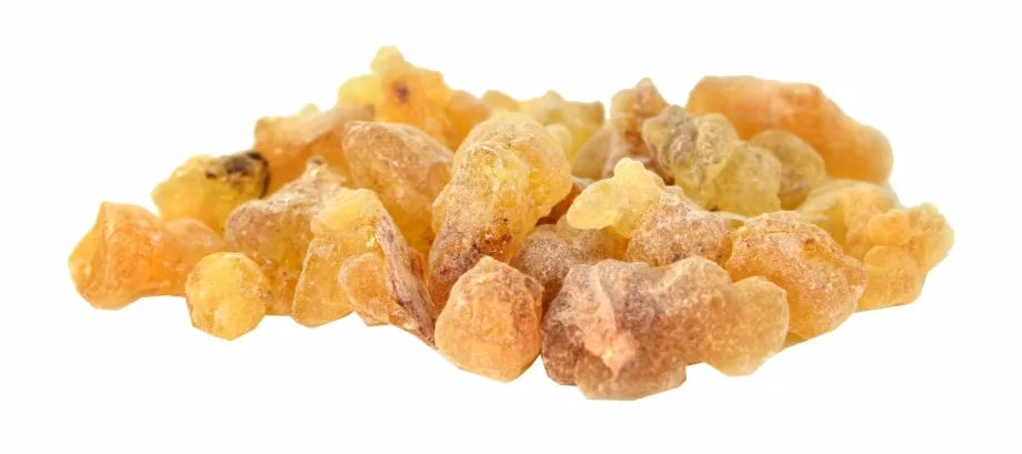 Frankincense Essential Oil