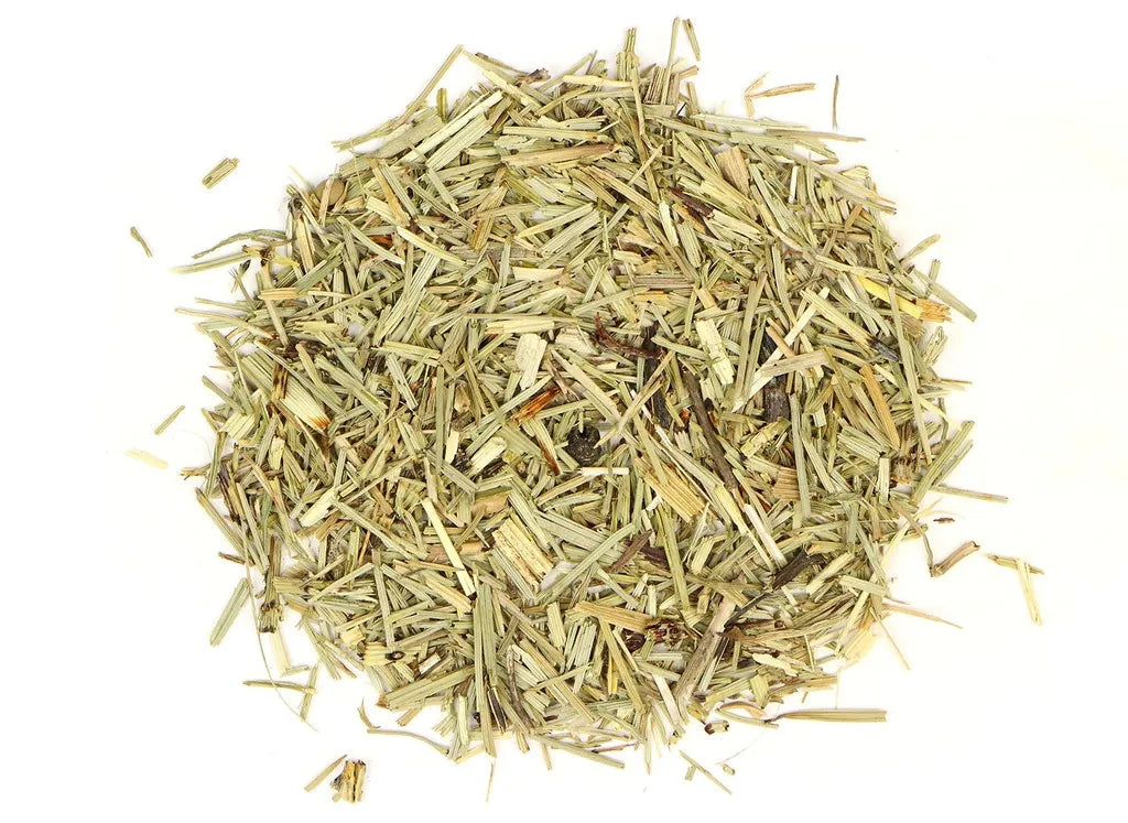Horsetail Leaf 1 oz. - Wholesale