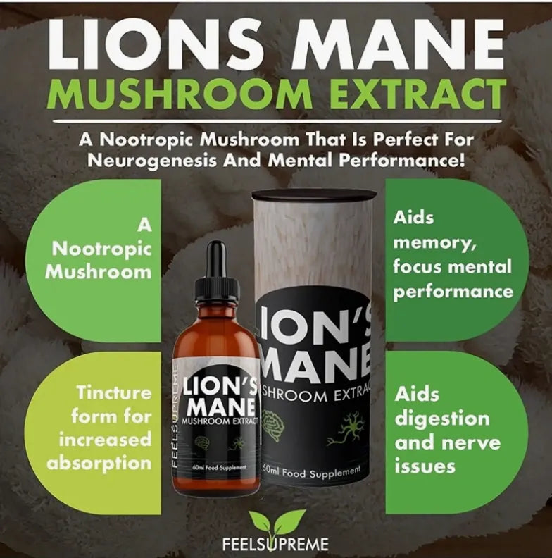 Lions Mane Mushroom Tincture | Dual extracted | Dropper
