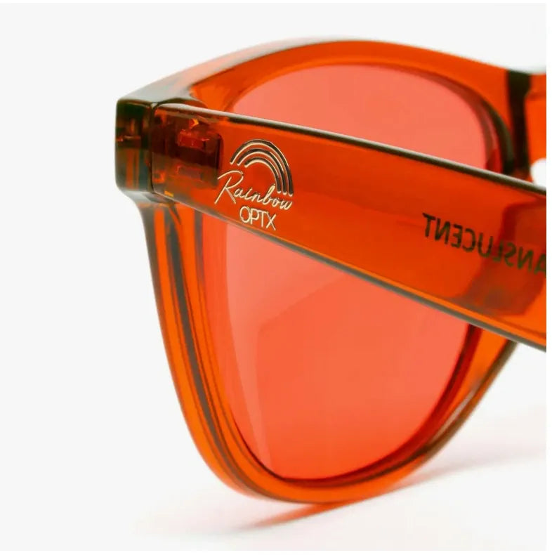 Translucent - Orange Sunglasses