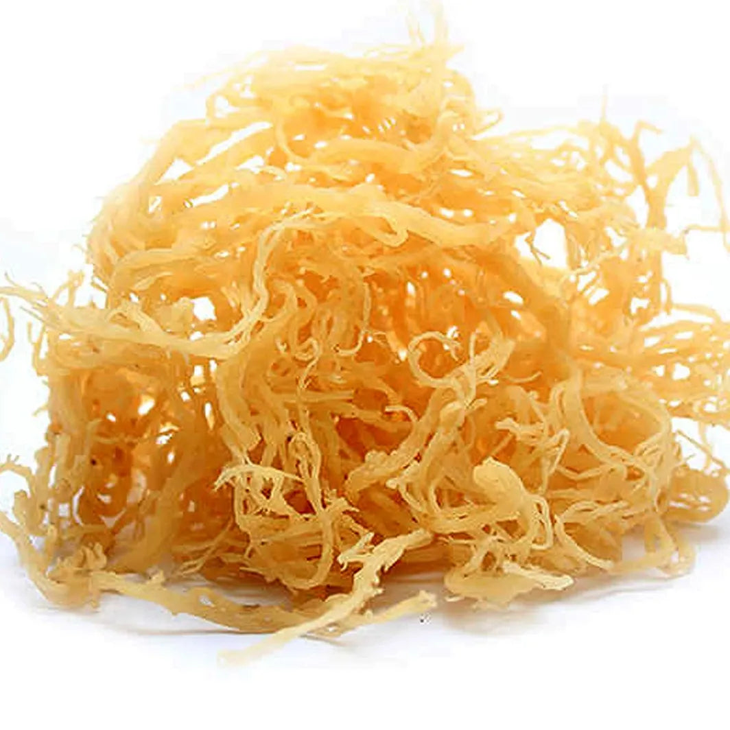 Raw Irish Sea Moss, Wild Crafted (SMALL)