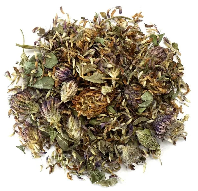 Red Clover Blossoms, Organic - Wholesale