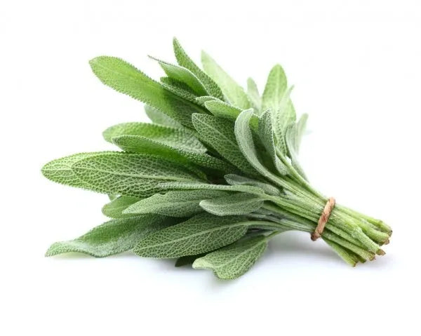 Sage Essential Oil .5oz
