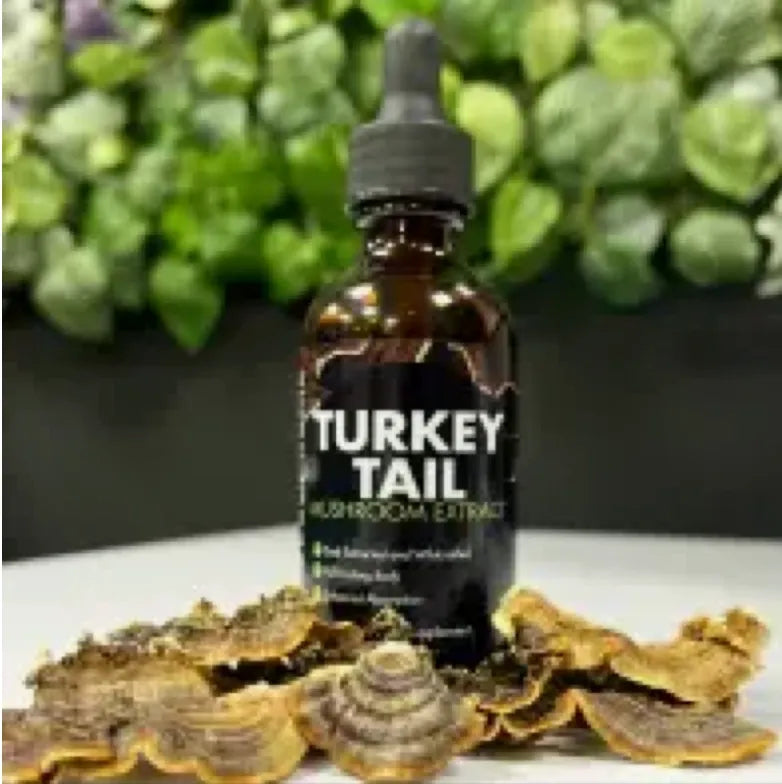Turkey Tail Mushroom Liquid |High Stength| 60ml