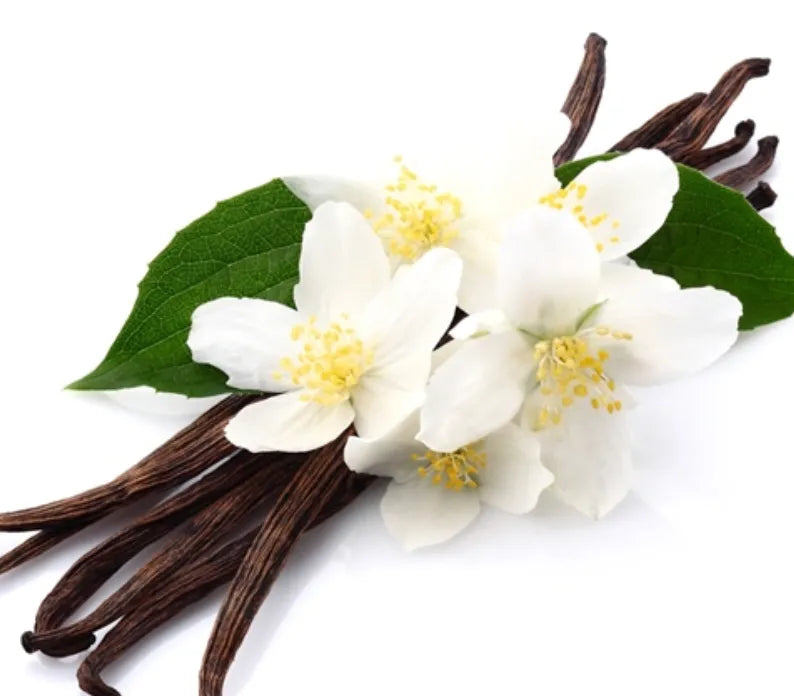 Vanilla Essential Oil